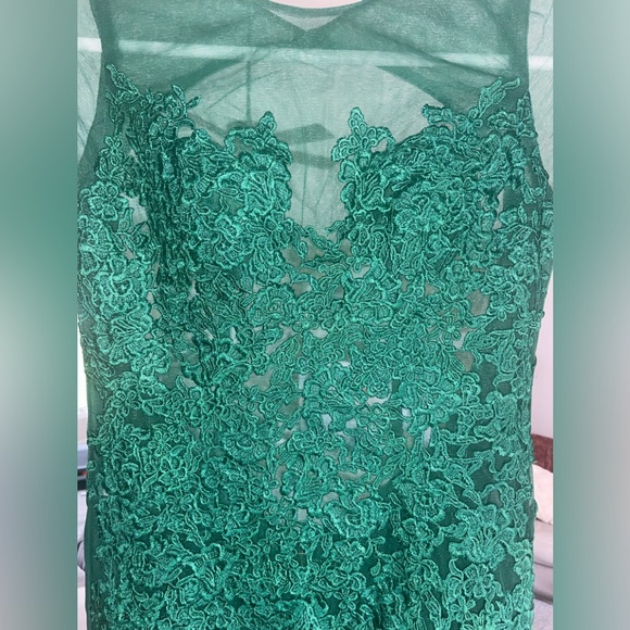 Elegant Green Sheer- Lace & Satin Dress - Picture 4 of 16
